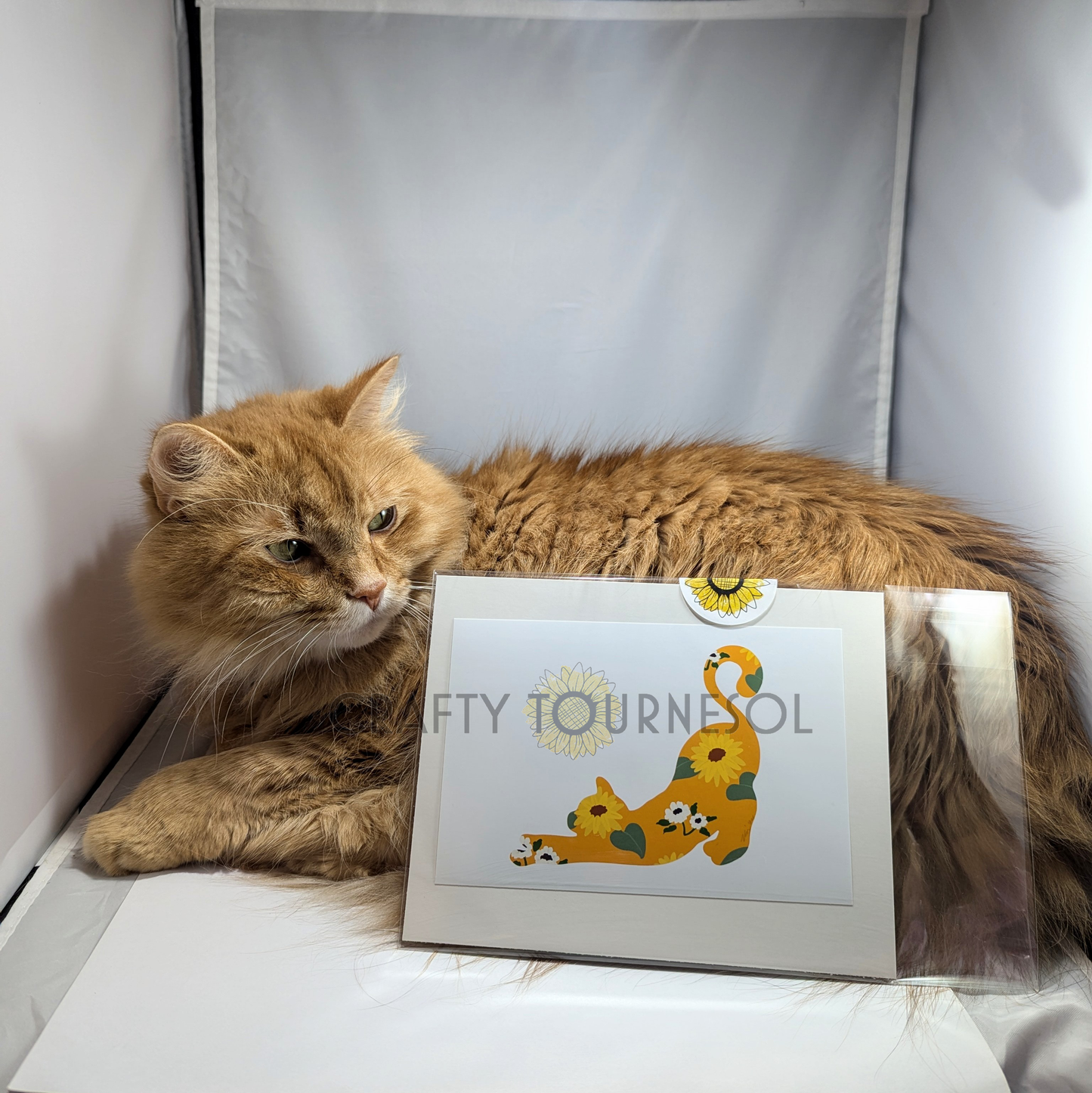 "Adorable fluffy orange cat posing with sunflower-themed art print of a stretching cat adorned with floral patterns. Perfect gift for cat lovers and art enthusiasts who appreciate nature-inspired designs."