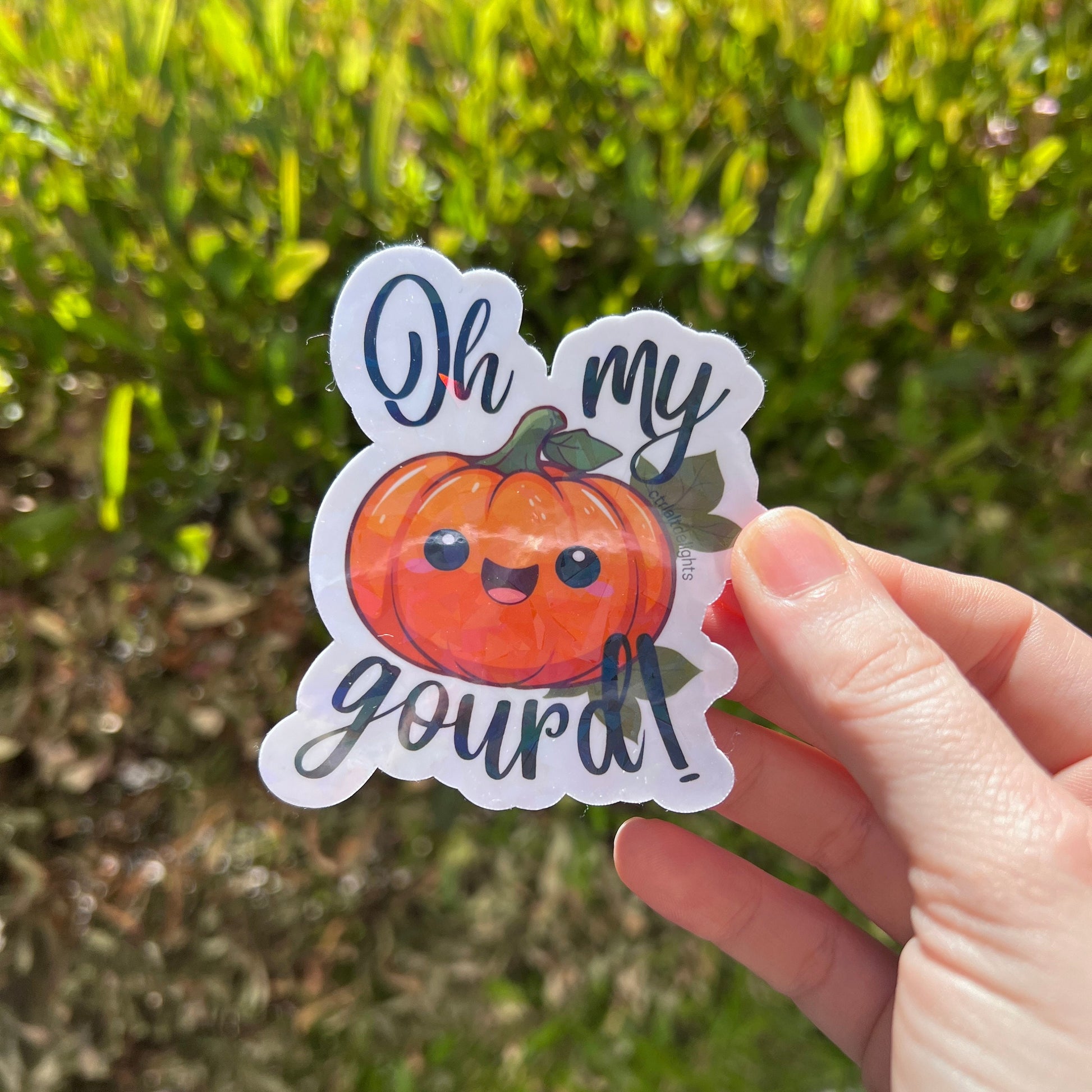 holographic Oh My Gourd! pumpkin sticker. The cute kawaii design features a smiling pumpkin with vibrant fall colors and a glossy finish, perfect for autumn or Halloween decor