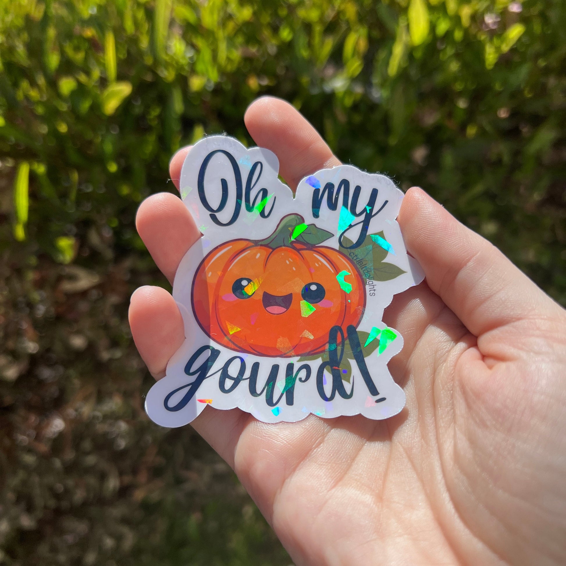 holographic Oh My Gourd! pumpkin sticker. The cute kawaii design features a smiling pumpkin with vibrant fall colors and a glossy finish, perfect for autumn or Halloween decor