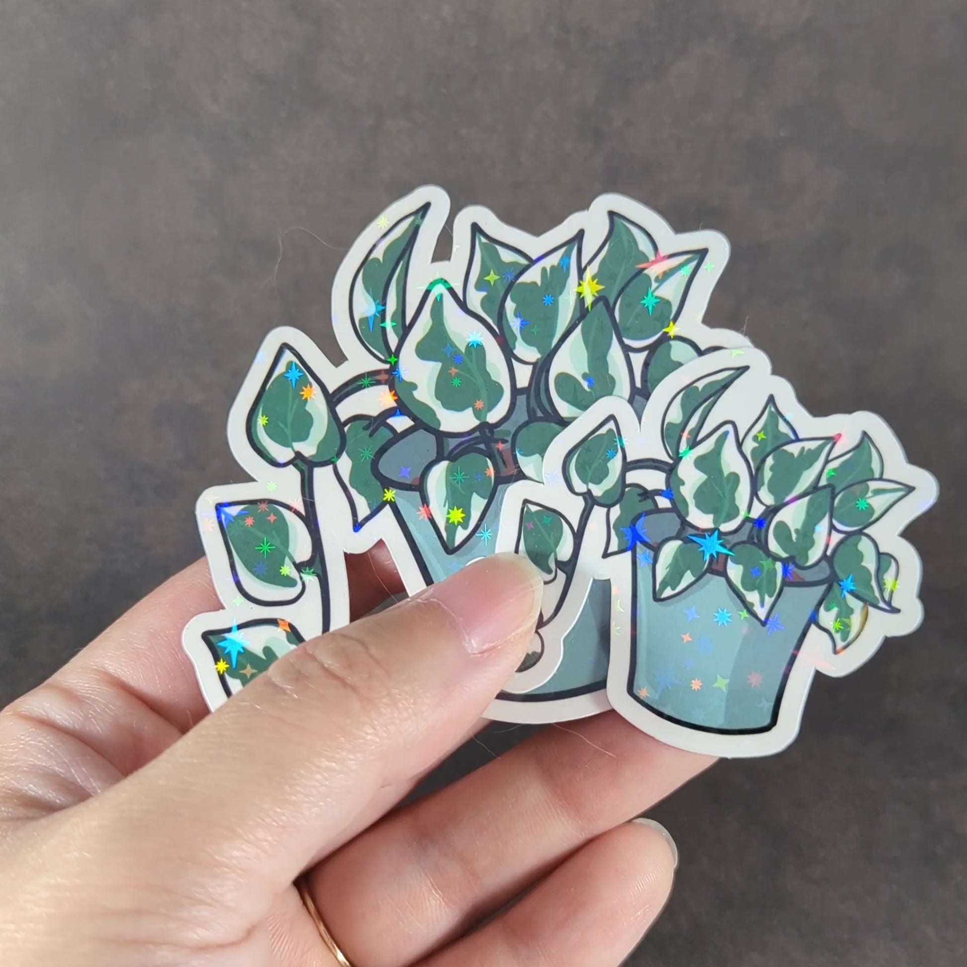 "Video of holographic pothos N'Joy plant stickers in blue pots, showcasing trailing green and white leaves with shimmering accents. Perfect for plant lovers adding sparkle and greenery to personal items or decor."