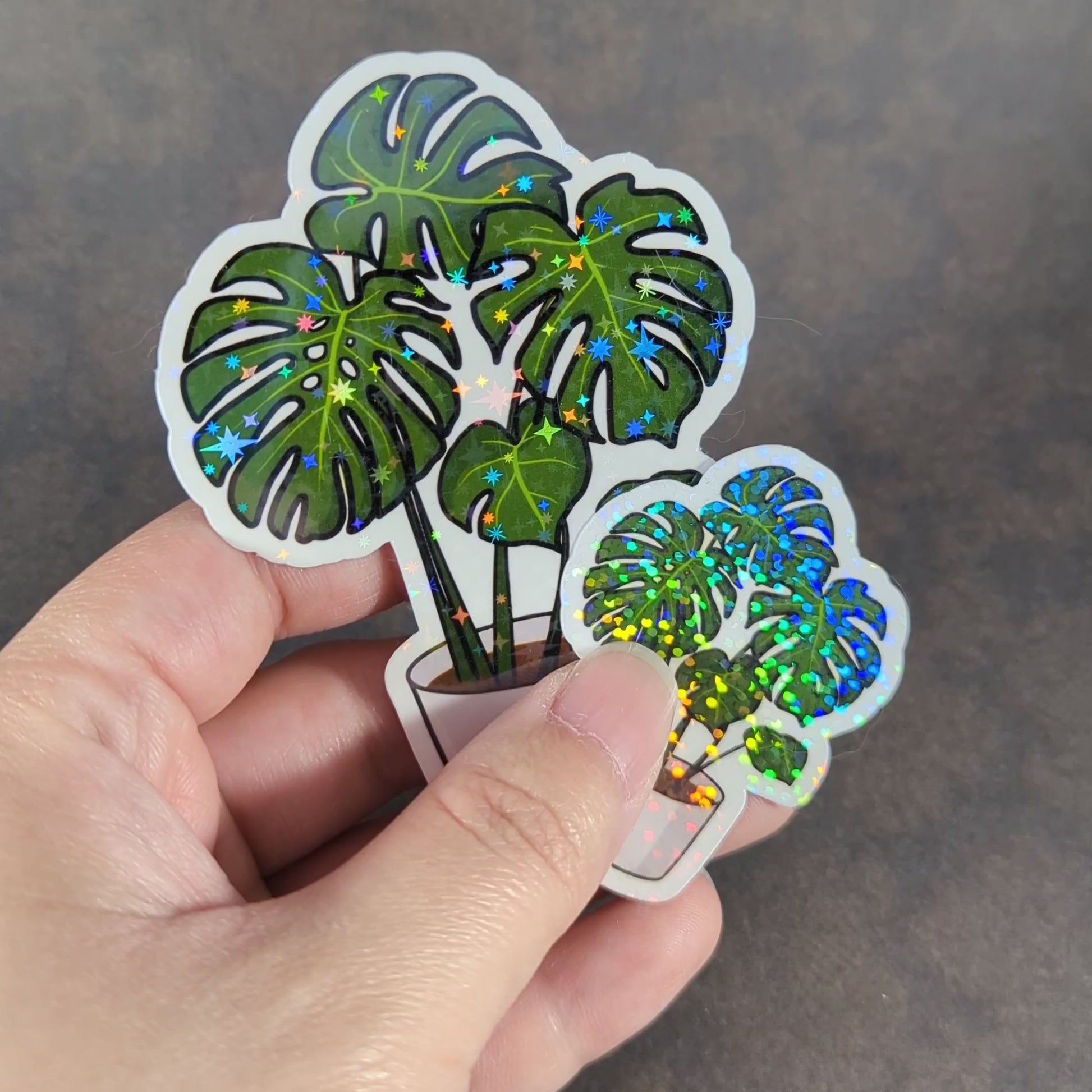 "Video of holographic monstera plant stickers in white pots with sparkling, vibrant leaves. Perfect for plant lovers looking to add a touch of greenery and shimmer to laptops, journals, or personal items."